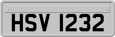 HSV1232