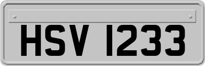 HSV1233
