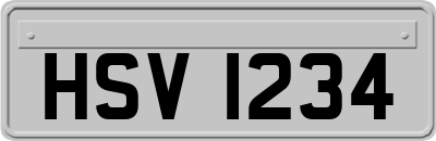 HSV1234
