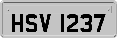 HSV1237