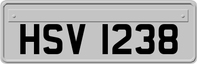 HSV1238