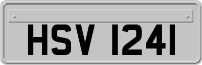 HSV1241
