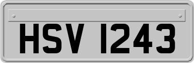 HSV1243