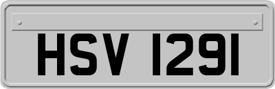 HSV1291