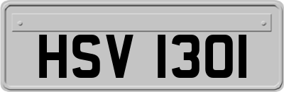 HSV1301