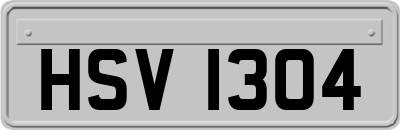 HSV1304
