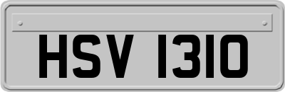 HSV1310
