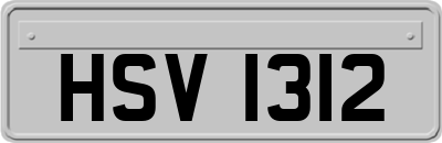 HSV1312