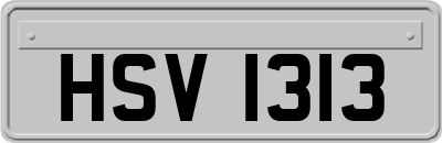HSV1313