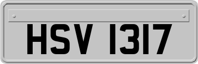 HSV1317