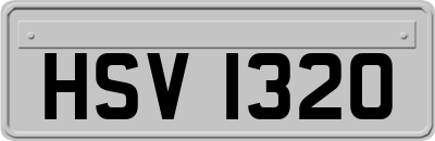HSV1320