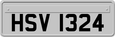 HSV1324