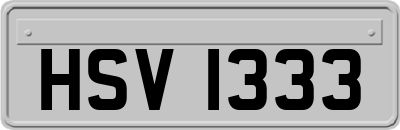 HSV1333