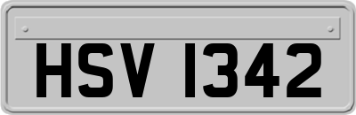HSV1342