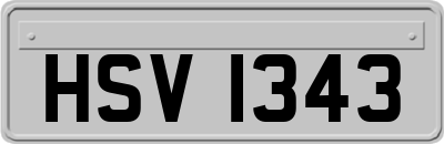 HSV1343