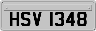 HSV1348