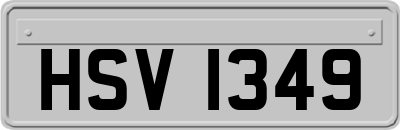 HSV1349