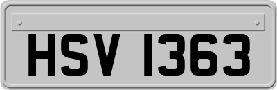 HSV1363