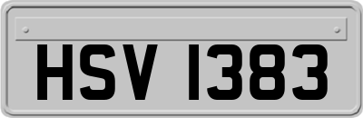 HSV1383