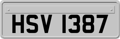 HSV1387