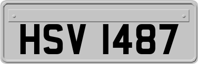 HSV1487