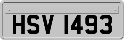 HSV1493