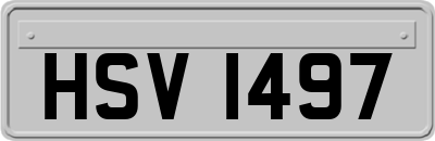 HSV1497