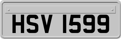 HSV1599