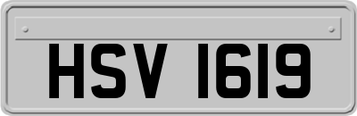 HSV1619