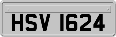 HSV1624