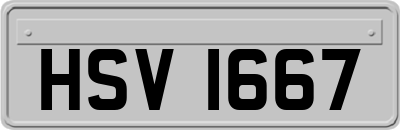 HSV1667