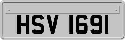 HSV1691