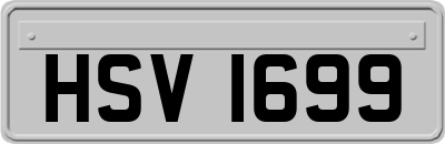 HSV1699