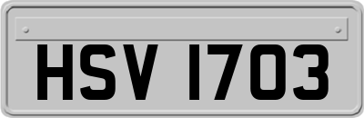 HSV1703