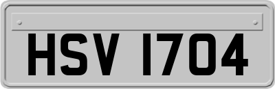 HSV1704