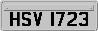 HSV1723