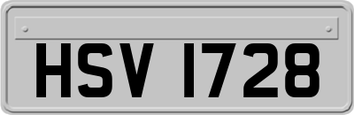 HSV1728