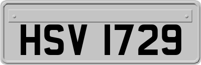 HSV1729