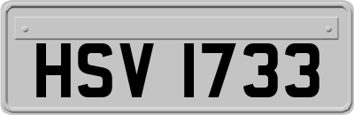 HSV1733