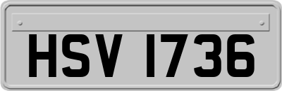 HSV1736