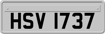 HSV1737