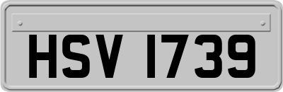 HSV1739