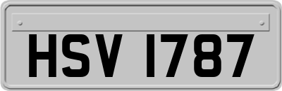 HSV1787