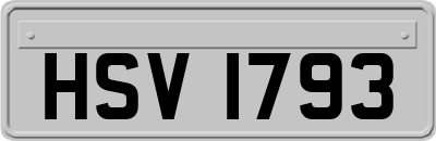HSV1793