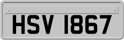 HSV1867