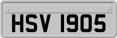 HSV1905