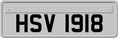 HSV1918