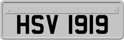 HSV1919