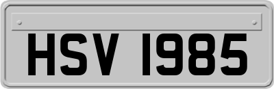 HSV1985