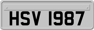 HSV1987